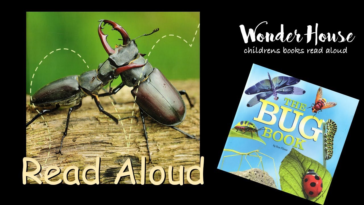 THE BUG BOOK | Kid Books Read Aloud By Wonder House Storytime - YouTube