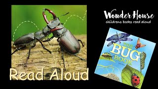 THE BUG BOOK | Kid Books Read Aloud By Wonder House Storytime