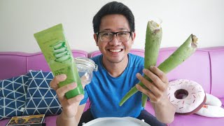 Cara Membersihkan Racun Lendir Lidah Buaya (Nata de Aloe Vera)