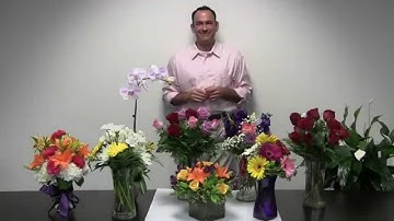 Avas Flowers - Great Flowers at Low Prices