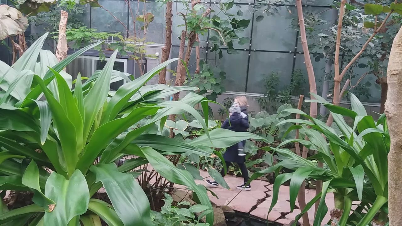 Discover the Wild Wonders of Amsterdam Zoo