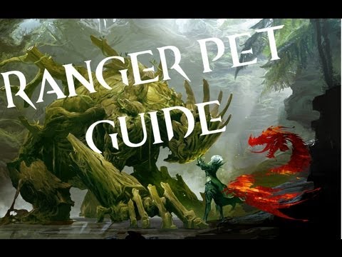 Guild Wars 2 Ranger Pet Location Guide