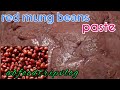 Mung Bean paste |Monggo filling