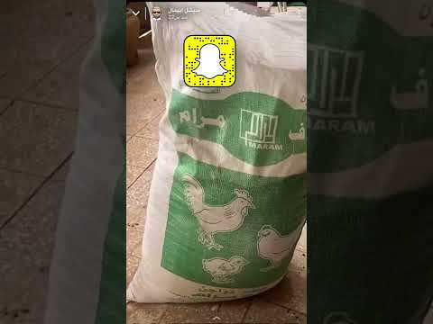 تربية فراخ النعام