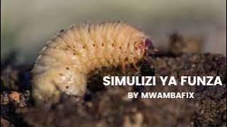 SIMULIZI MPYA YA FUNZA 5 I SIMULIZI YA KUSISIMUA I #mwambafix