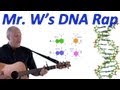 DNA, Fantastic! Mr. W's DNA Rap