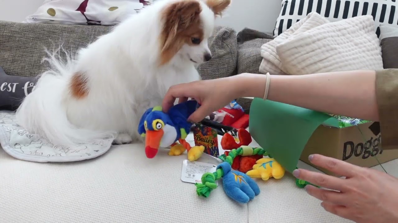 Ds2om2ava3ipym Ds2om2ava3ipym