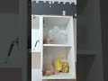 all wooden work