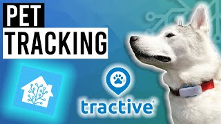 Simple GPS Pet Tracking in HOME ASSISTANT screenshot 5