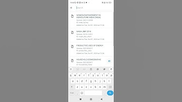 How to start filling out a form in ODK Collect (ODK Collect v2024.2.4)