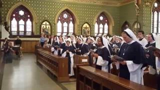 6 Sisters of Life Perpetual Vows Entrance August 6, 2016 Part 1 of 5 6 Sisters of Life Perpetual Vows Entrance August 6, 2016 Part 1 of 5