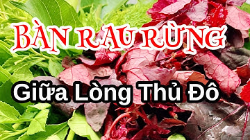 Gỏi Cá Mè Ngon Bậc Nhất Hà Thành | Quán Họ Hứa