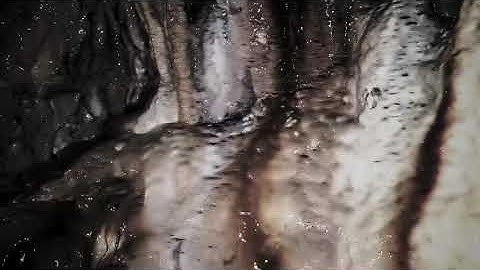 Buchla Music Easel - Eric