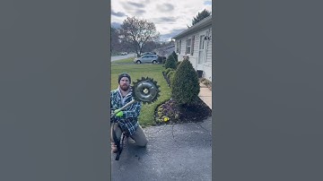 #edge #crispy #oddlysatisfying #satisfying #diy #lawn #edgy #before #after #spring