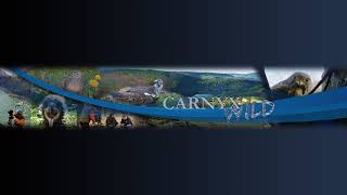 Download lagu Lough Neagh: Torpedo Platform☀️31/10/25