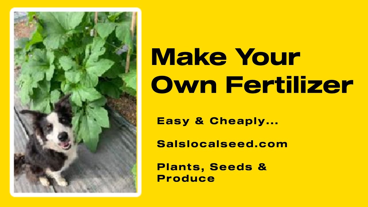 Make Your Own Fertilizer YouTube make-your-own-fertilizer-youtube