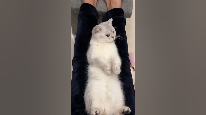 Cute kittens❤️【30】#shorts #cutecat520 #cat #kittens #pets