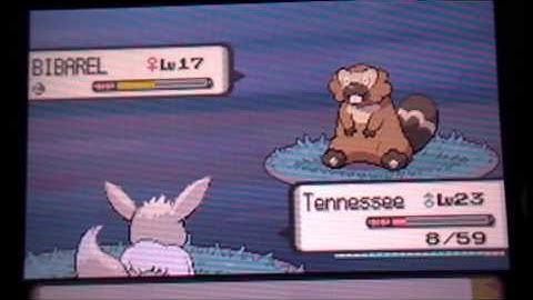 SHINY EEVEE EVOLVING INTO SHINY UMBREON!!! Pokemon Pearl!