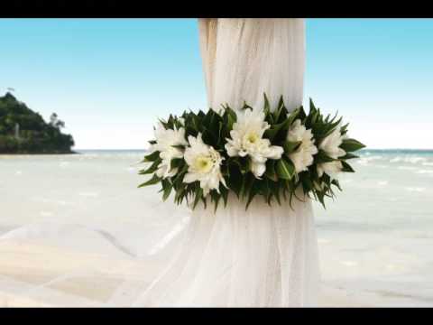 Vídeo: Parabéns Em Quadrinhos Pelo Casamento