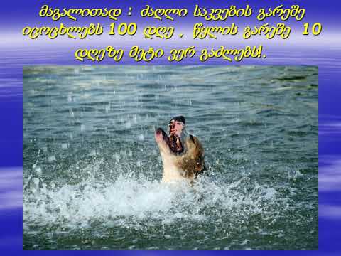 გაუფრთხილდით წყალს!