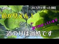台風の後に行ったらヤバかった。【30万円で買った家】