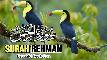 "Healing Surah Ar-Rahman 🌿 | Relaxing & Peaceful Quran Tilawat | سورة الرحمن"