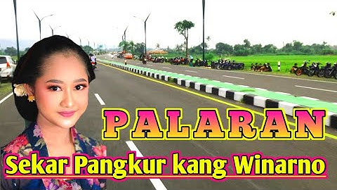 PALARAN SEKAR PANGKUR - PALING MERDU- ENAK DI DENGAR