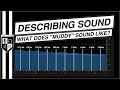 What Does "Muddy", "Boxy", & "Tinny" Sound Like? | WORDS TO DESCRIBE SOUND QUALITY