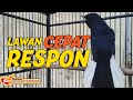 Pancingan Kacer Bikin Lawan Cepat Respon Langsung Tarung Ngobra Gacor Ampuh Mp3 - Mp4 Download