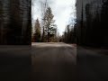 Raw Engine Sound: Blasting Through the Winding Forest! 🚀🎧 #shorts