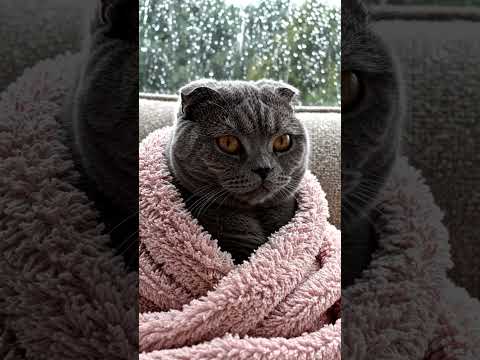 ভূত নাকি অন্য কিছু।।