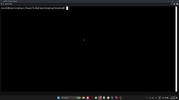 Purple Team 6: Suricata IDS Introduction and Integration with Wazuh