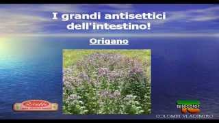 Ricette per vivere bene - intestino