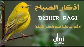 اذكار الصباح راحة نفسية لا توصف | حصن المسلم من كل شر | للقارئ علاء عقل