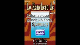 Palomas Que Andan Volando - Banda Cuisillos #shorts