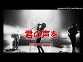 西野カナ,VERBAL - 君の声を