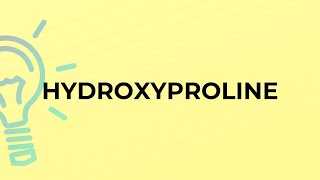 What is the meaning of the word HYDROXYPROLINE