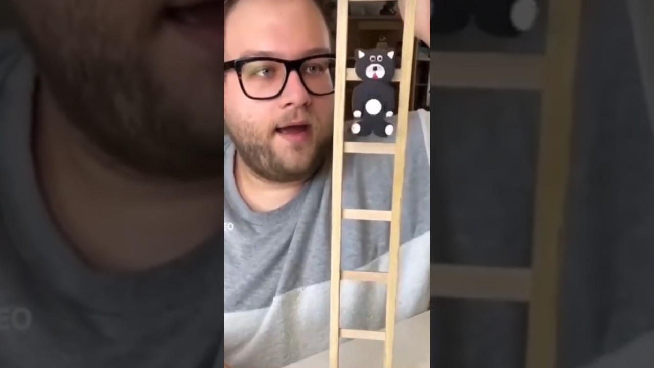 Кошки 🤣#кошки #комедия #кошки #малинки #малыш #россия24 #уфа #уфф # ...