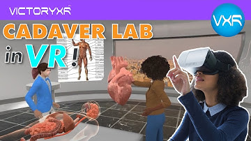 The VictoryXR VR cadaver lab is groundbreaking!  Includes: skeletal, organ systems, musculoskeletal