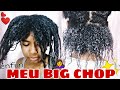 MEU BIG CHOP | 1 ano e 2 meses de transição capilar | Monique Costa