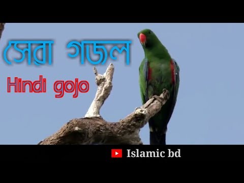 islamic-bd.-hindi-new-islamic-gojol-best-gojol
