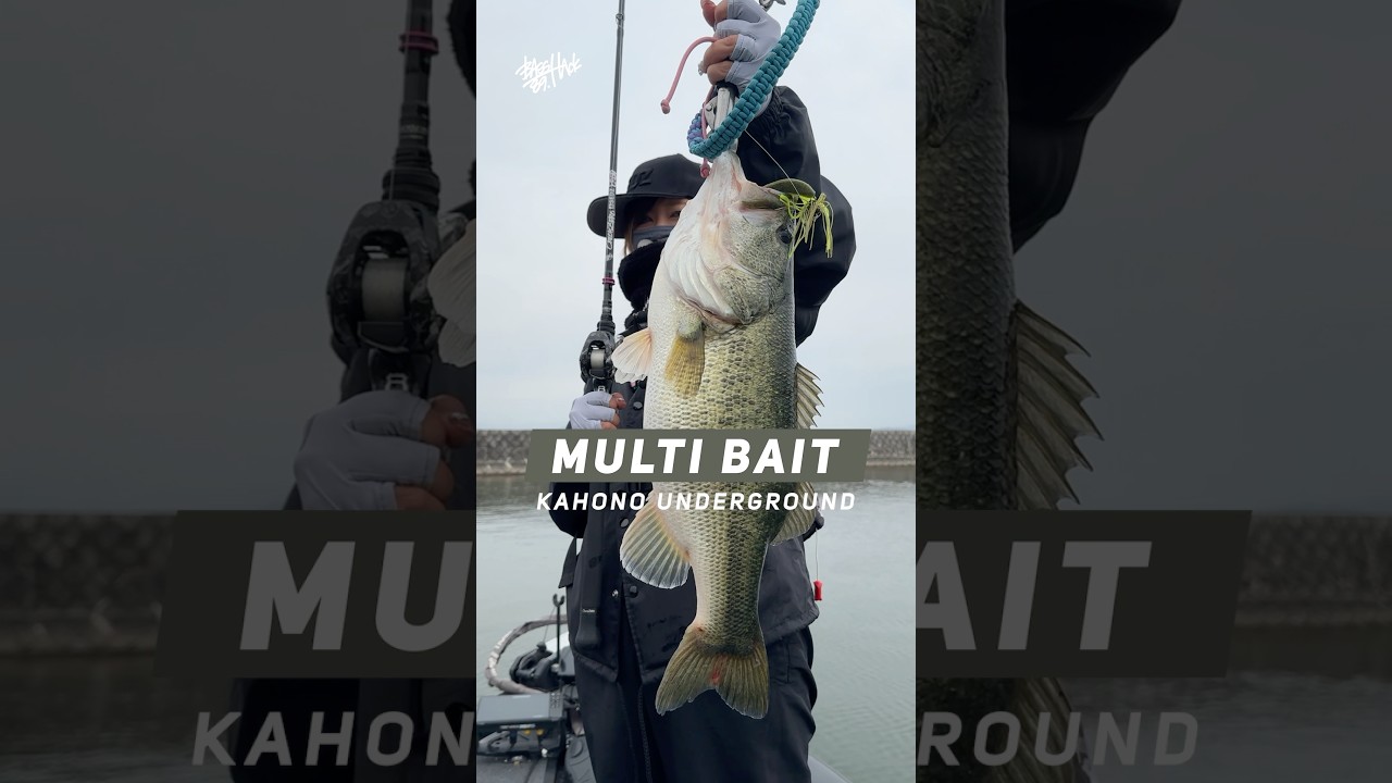 マルチベイトで琵琶湖のデカバスGET！ #カホノアンダーグラウンド #落合ガイドサービス #琵琶湖 #バス釣り