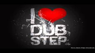 Flux Pavilion-I Can't Stop-DUBSTEP