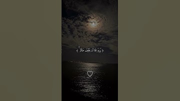 والله يريد أن يتوب عليكم ويريد الذين يتبعون الشهوات أن تميلوا ميلا عظيماً.القارئ محمد اللحيدان