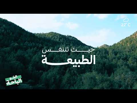 تبي الطبيعة والراحة.. ترى #الجّو_الباحة 🌳☁️
