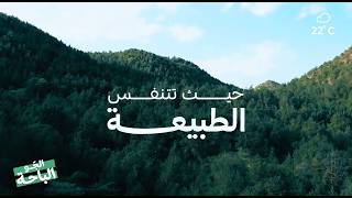 Looking for nature and relaxation? Check out #AlBaha_Atmosphere 🌳☁️