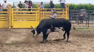 IMG 5948 2