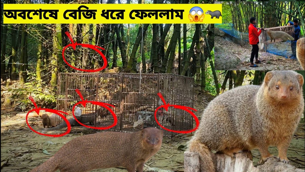 Наконец-то поймал ошибку 😱🦡