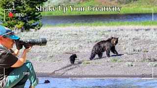Shake Up Your Creativity