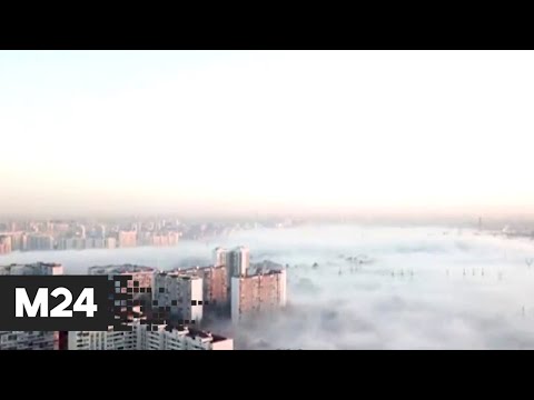 Москву окутал туман - Москва 24